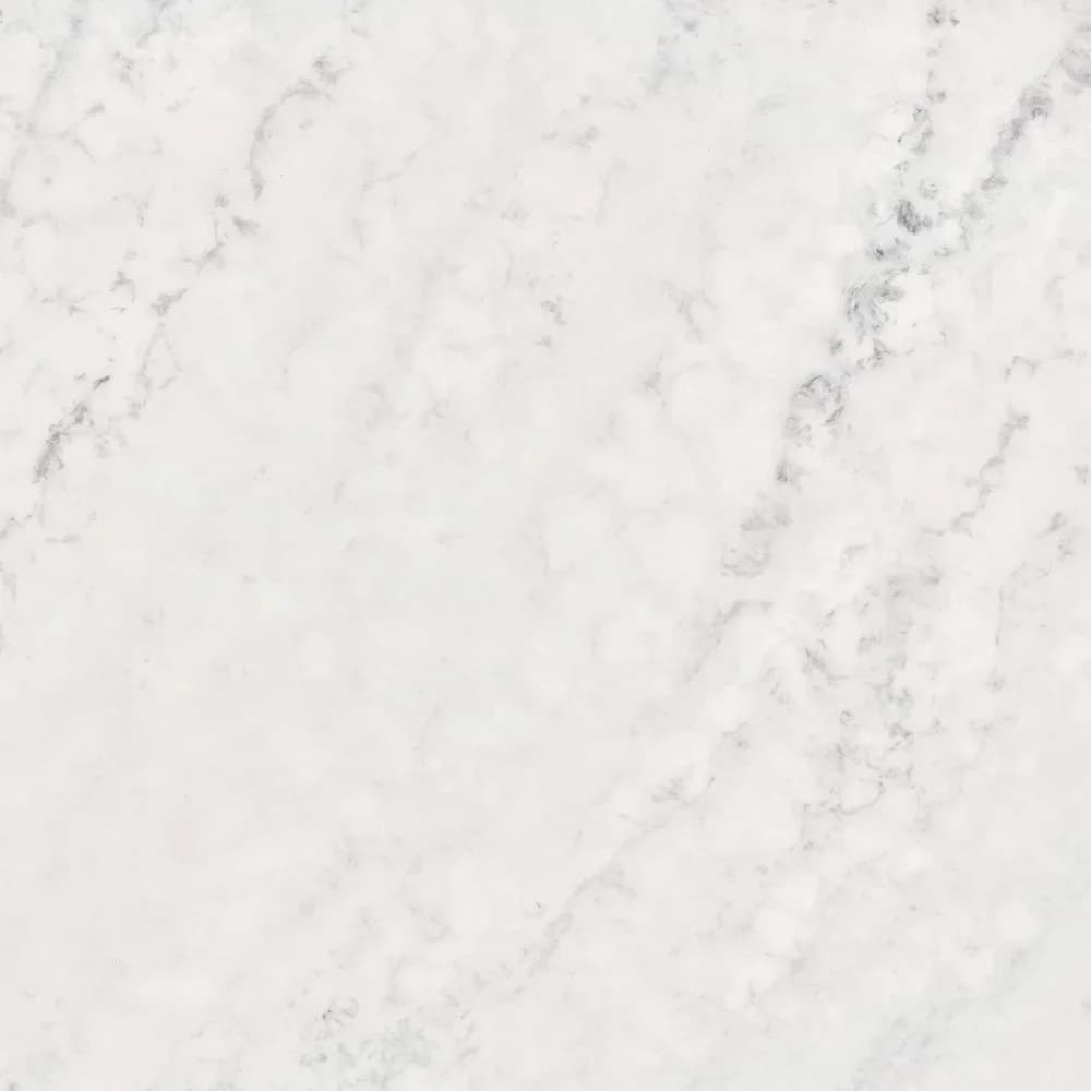Carrara Lion M690