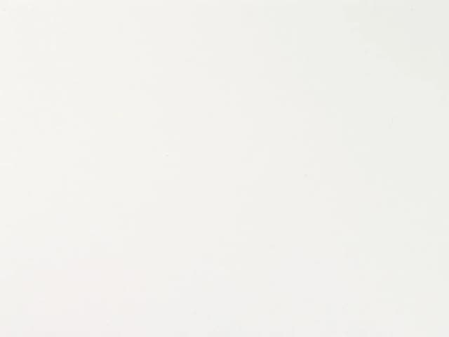 White glitter 1194