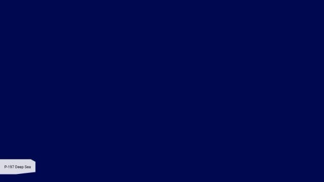 P-197 Deep Sea