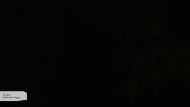 S-202 Peaceful Night
