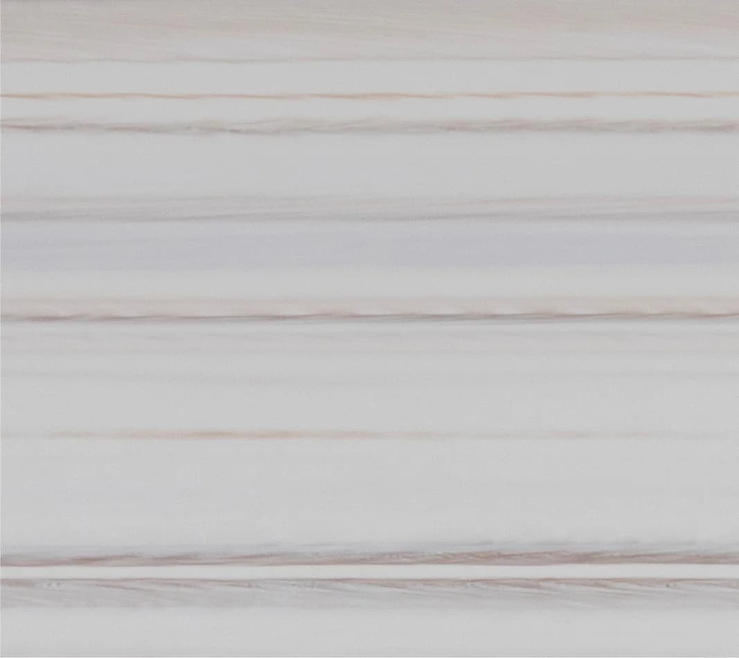 White maple N 546