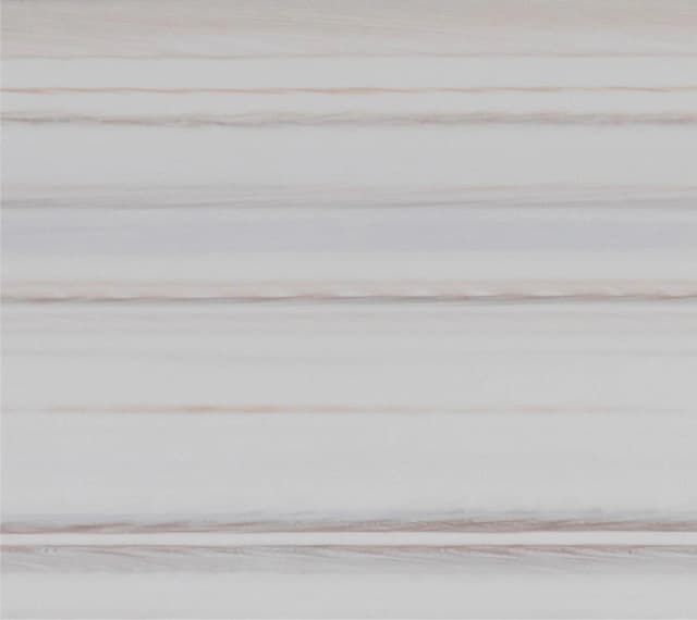 White maple N 546