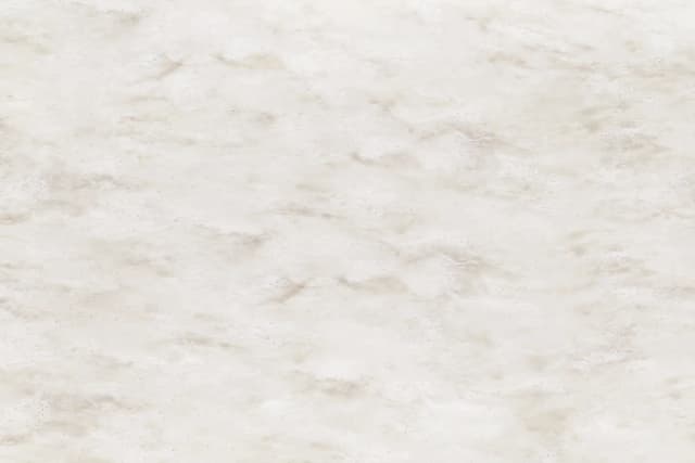 VV351 Veil