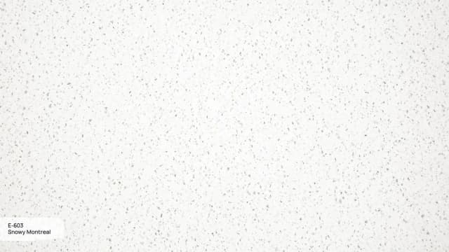E-603 Snowy Moscow