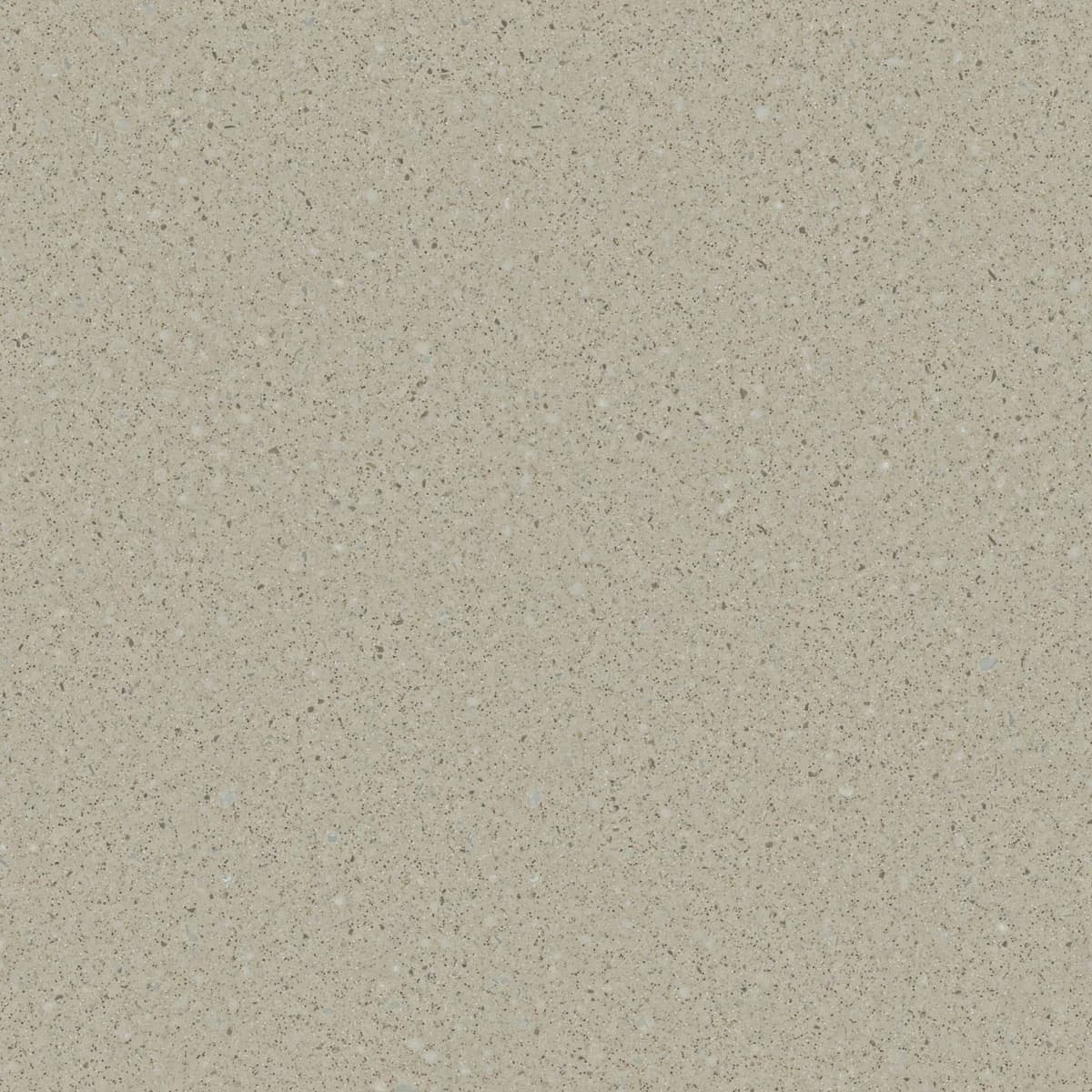 SGA 446 Desert