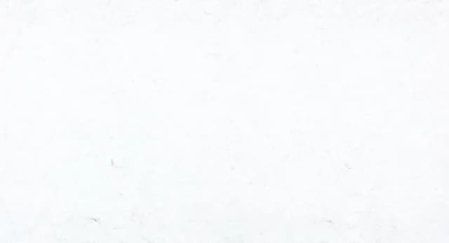 M501 Adessa