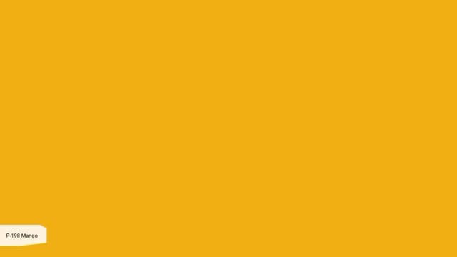 P-198 Mango