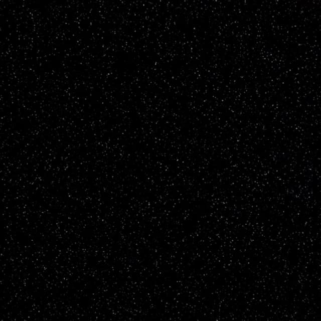 G047 Black Bird