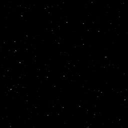 HIMACS P004 Perna Black