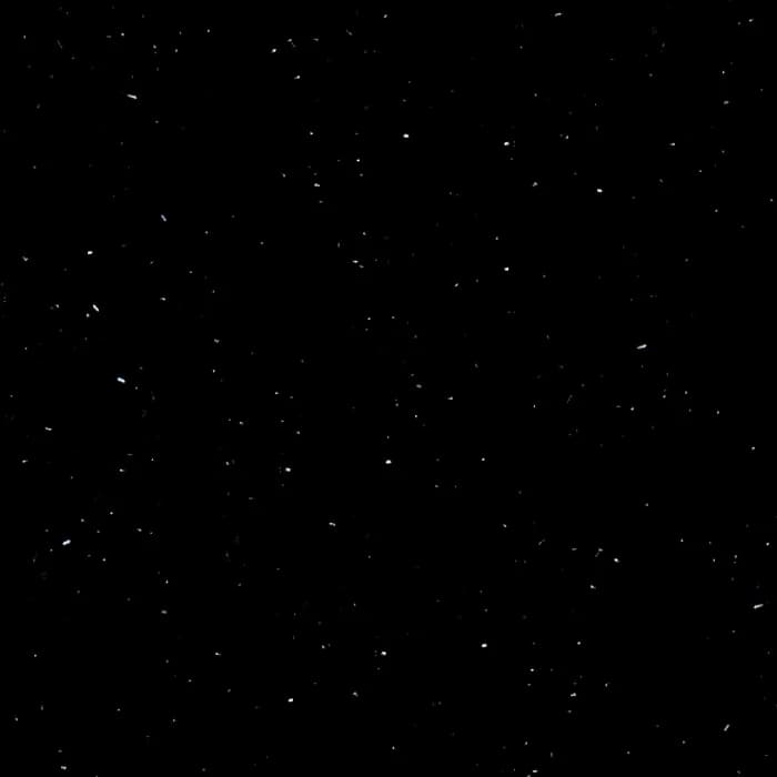 P004 Perna Black