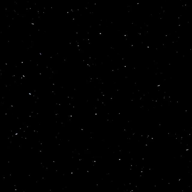 P004 Perna Black