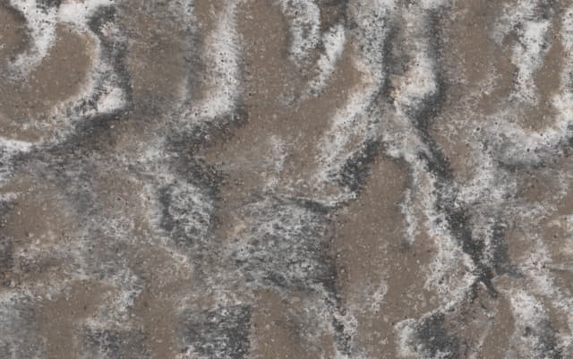 Concerto VC157