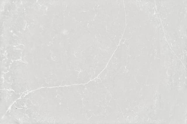 Desert Silver