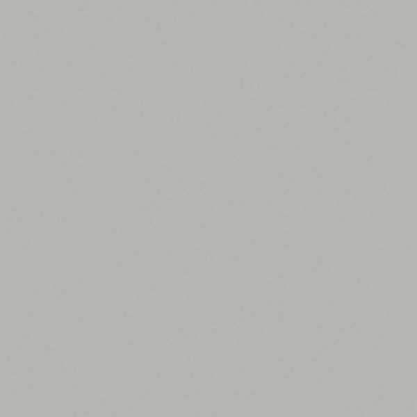 Silver Gray