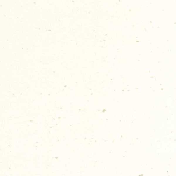 White Jasmine