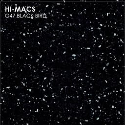 LG Hi Macs G047 Black Bird