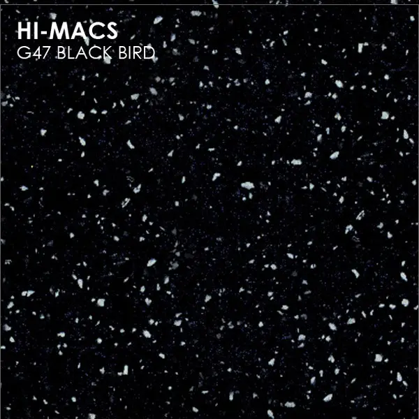 G047 Black Bird
