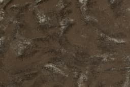 Samsung Staron Loam VL155