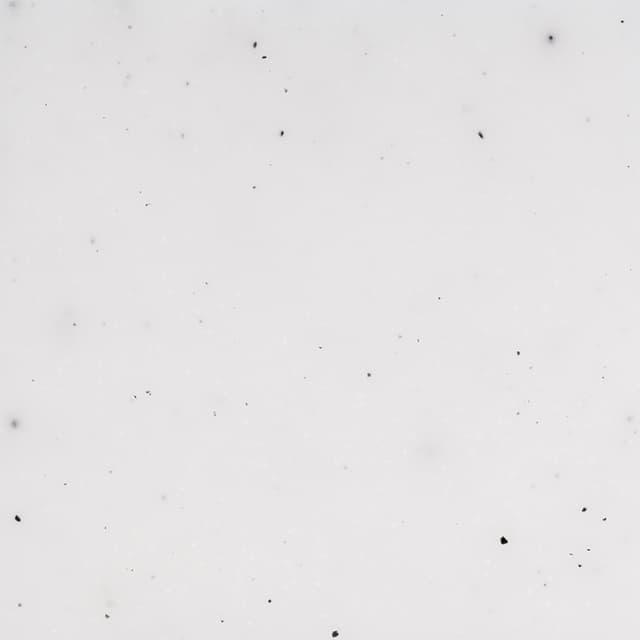 S-119 Sand Salt