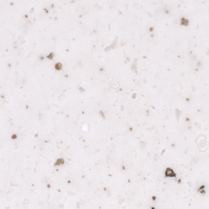 T068