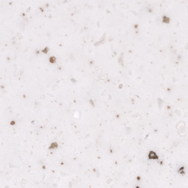 T068
