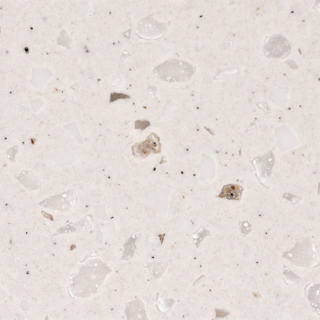 T098