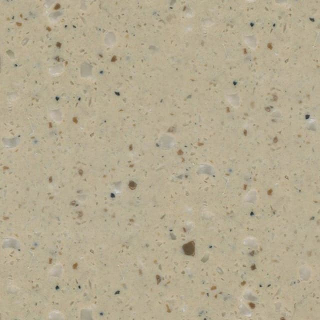 T206