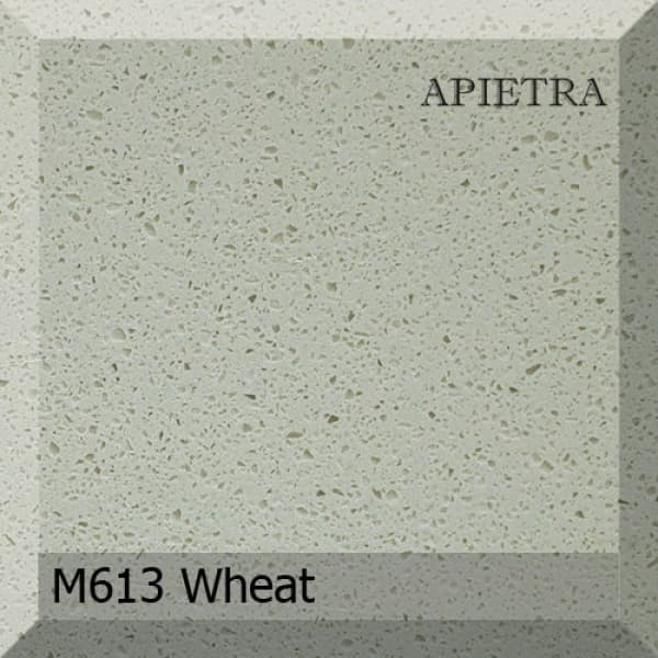 M613