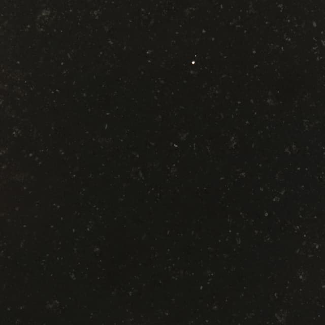Taurus Black