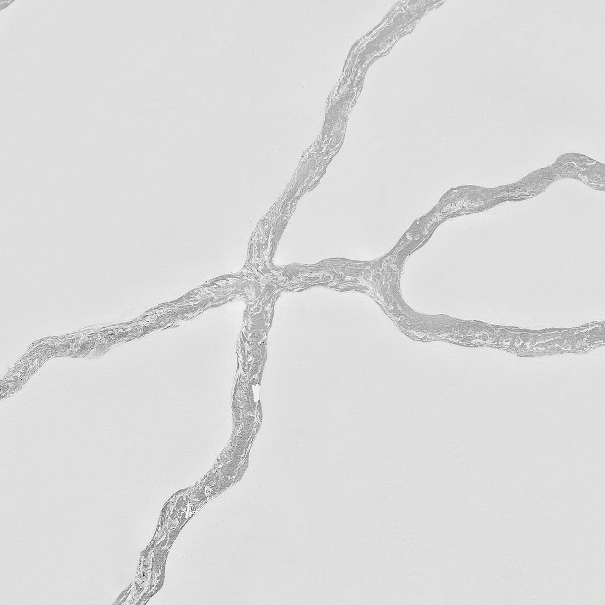 Calacatta Modica M691