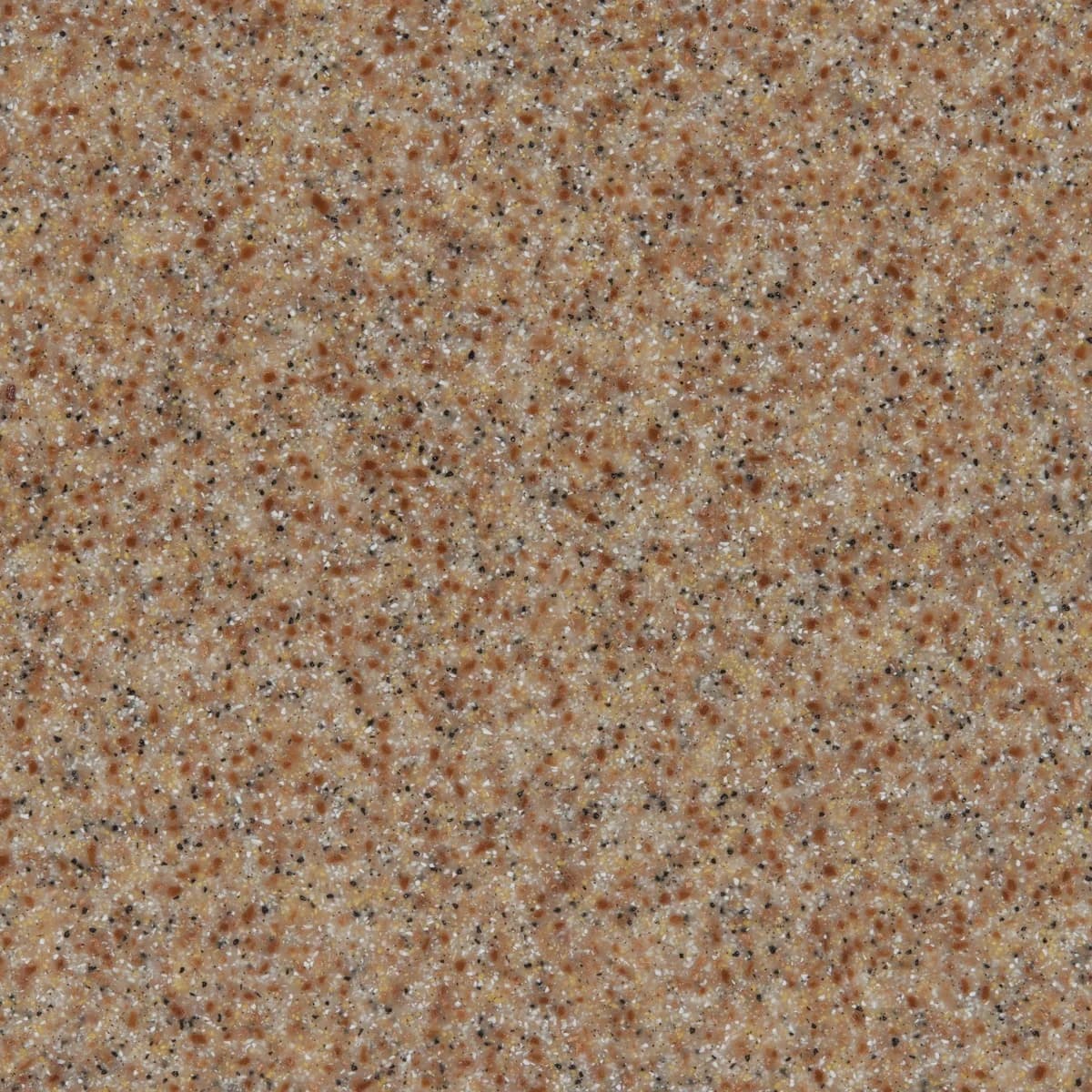 Robusta A124