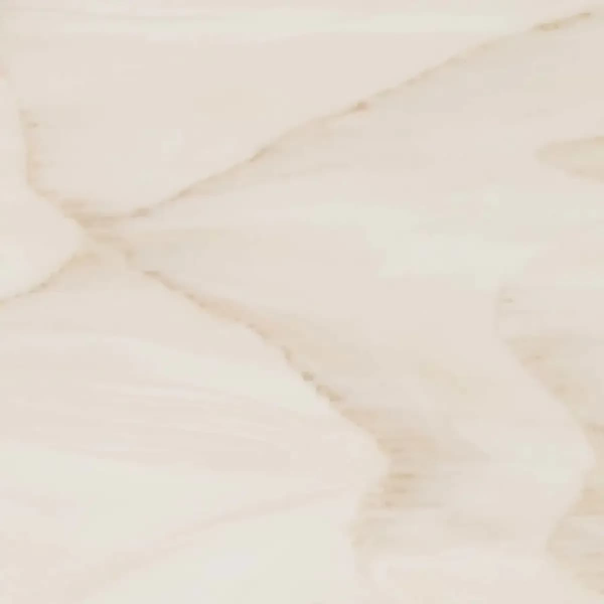 VL343 Latte Cream